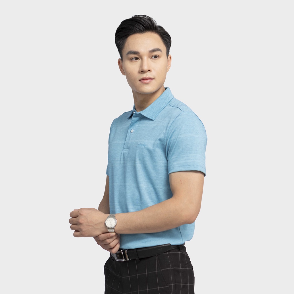 Áo polo nam ngắn tay ARISTINO phom Regular fit thoải mái, họa tiết kẻ ngang nam tính, ấn tượng - APS019S3