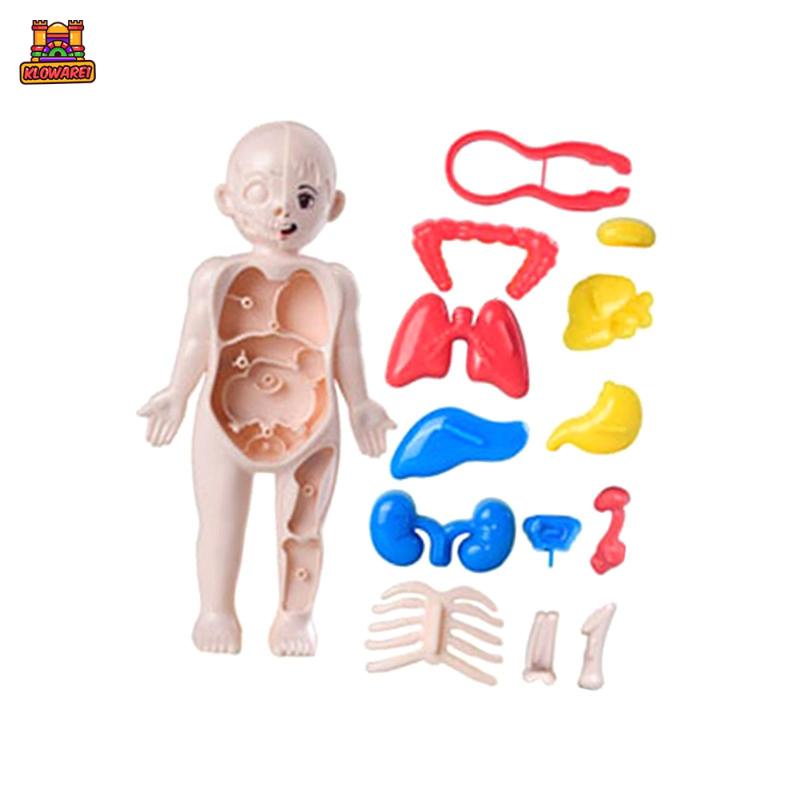 Predolo 1 Bộ Đồ Chơi Giáo Dục Cơ Thể Người Dành Cho Trẻ Mẫu Giáo