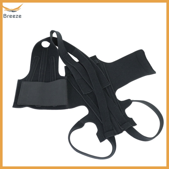 Áo Vest Có Vòng Chữ D Thoáng Khí Giảm Đau Lưng Cho Thú Cưng