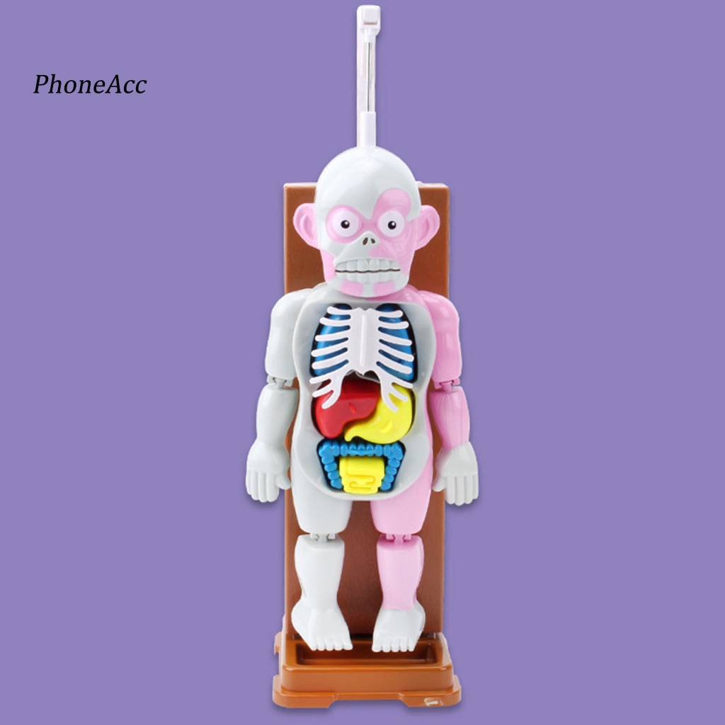 Set 37 Mô Hình Cơ Thể Người Kinh Dị Trang Trí Halloween