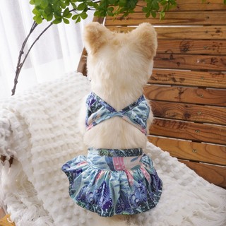 Bộ Đồ Bơi Bikini Cho Thú Cưng