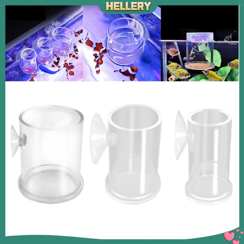 Ống Cho Cá Ăn Bằng Acrylic Trong Suốt Tiện Dụng