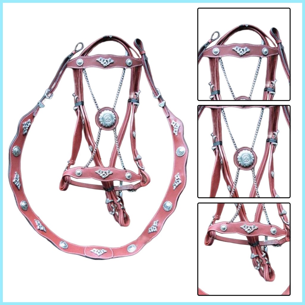 Dây Buộc Ngựa Và Dây Dẫn Bằng Da PU Cho Ngựa Unfettered Thiết Kế Tiện Dụng Thoải Mái