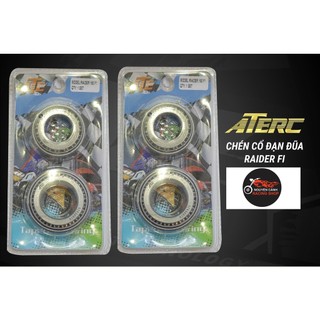 Bộ chén cổ xe Raider Satria 150 bi đũa ATE