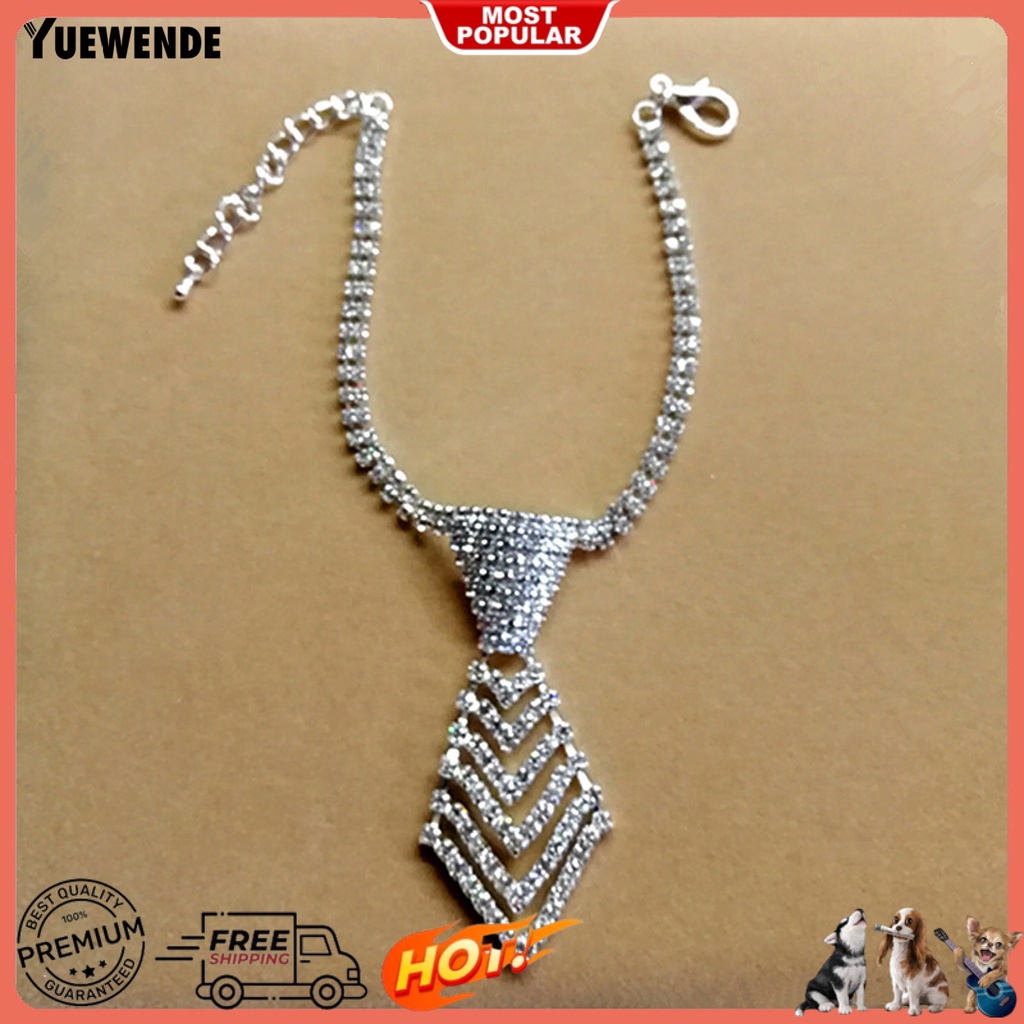 Vòng Cổ Bắt Mắt Màu Sắc Lấp Lánh Tùy Chỉnh Tiện Dụng Cho Thú Cưng