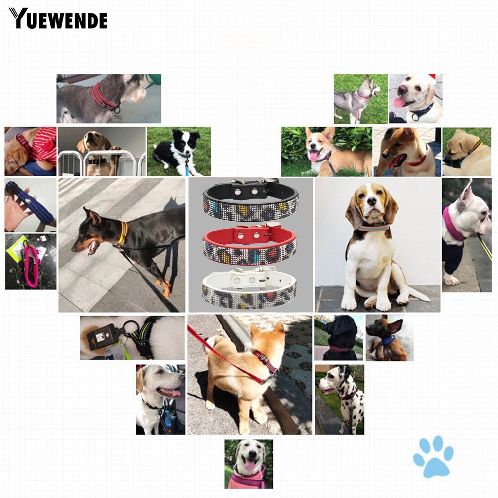 Vòng Cổ Giả Da Dắt Thú Cưng Đi Dạo Chống Lạc Đính Đá Lấp Lánh Dễ Điều Chỉnh Kích Thước