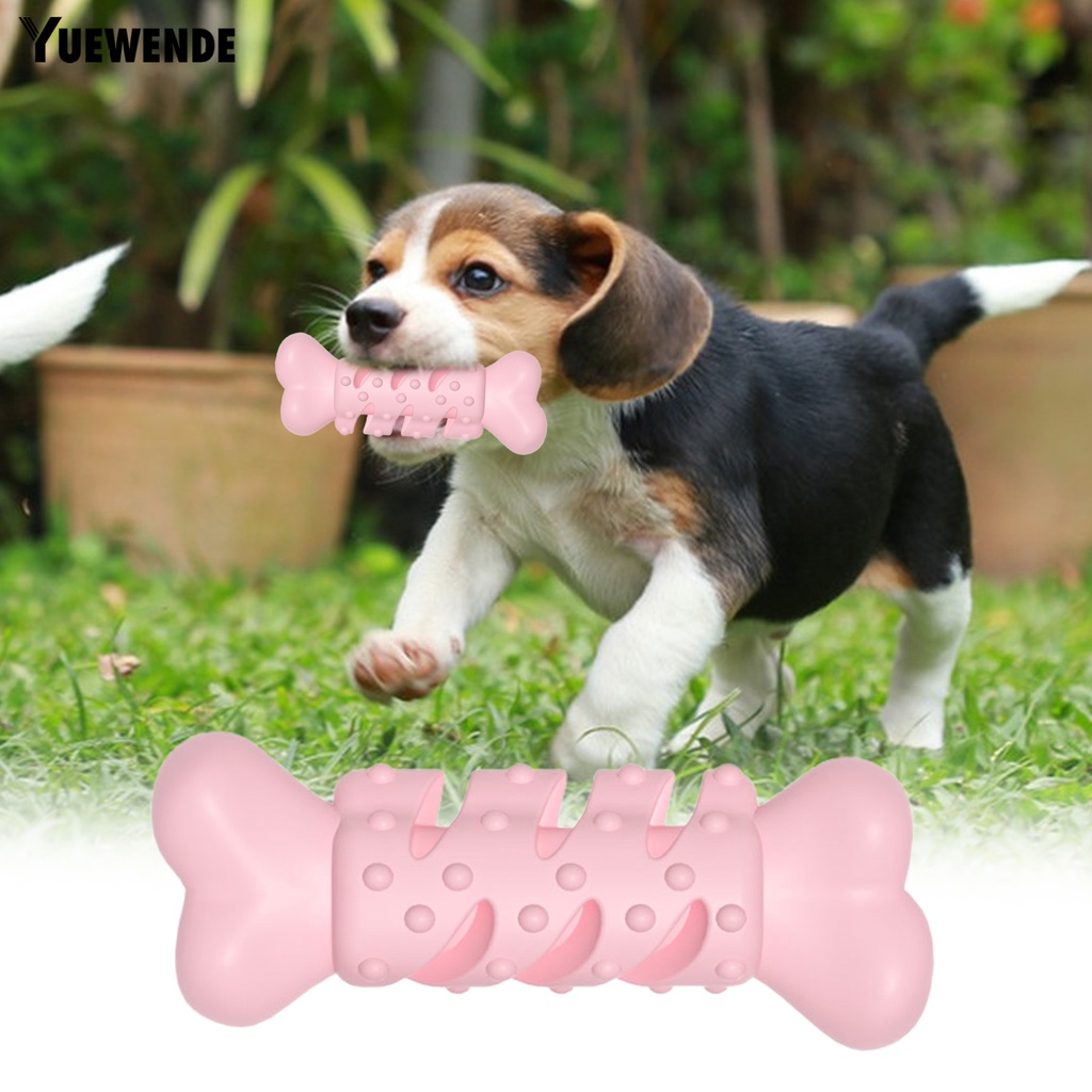 Đồ Chơi Nhai Gặm Chống Trầy Chống Mòn Không Mùi Cho Thú Cưng