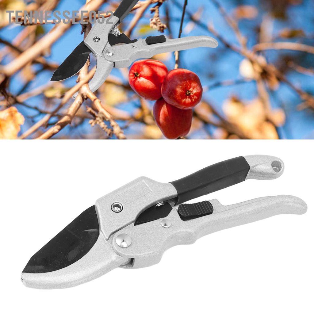 Tennessee052 Kéo làm vườn xây dựng Thép không gỉ tiện dụng và SK5 để cắt tỉa cây hoa hồng