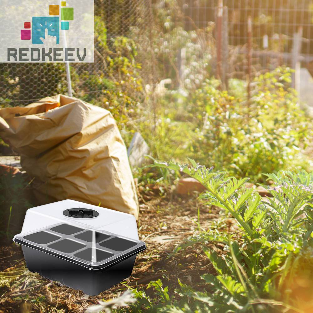 Hộp Gieo Hạt Tiện Lợi Cho Nhà Kính