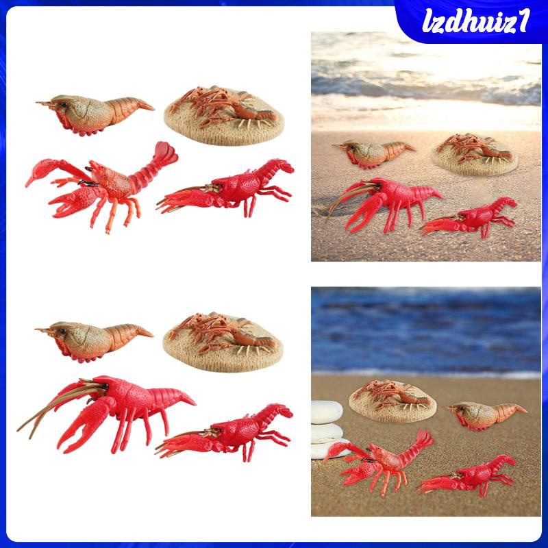 Đồ Chơi Tôm Hùm Biển Cho Bé