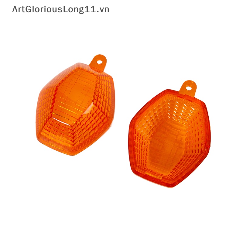 1 Cặp Ốp Đèn Tín Hiệu Rẽ Trong Suốt Dễ Lắp Đặt Cho DL650 V Strom