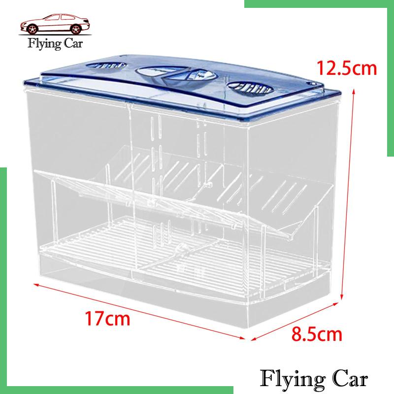 Hộp Nuôi Cá Dễ Sử Dụng Cho Văn Phòng Guppy Betta