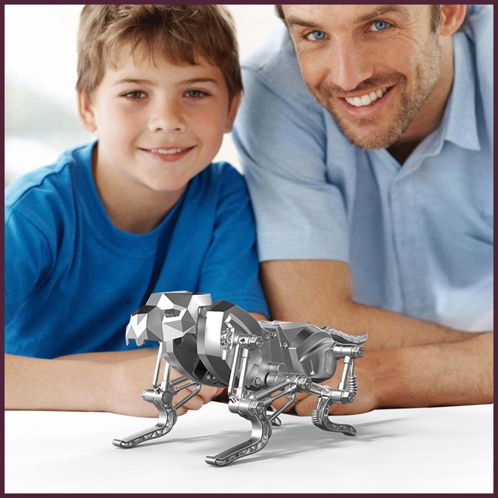 Bộ Đồ Chơi Lắp Ráp Robot Khoa Học DIY