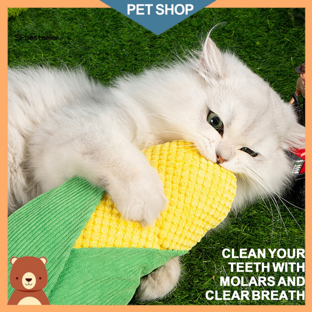 Đồ Chơi Nhai Gặm Độ Đàn Hồi Cao Có Thể Tái Sử Dụng Hỗ Trợ Huấn Luyện Thú Cưng