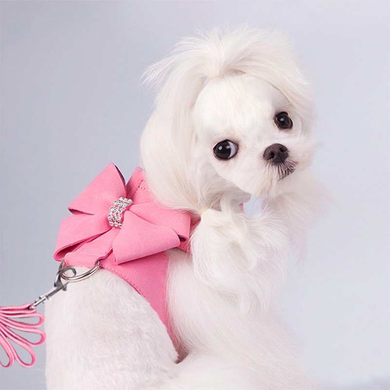 HamshMoc Bộ Dây Dắt Chó Đi Dạo Mềm Mại Gọn Nhẹ Tháo Gỡ Nhanh Có Thể Điều Chỉnh