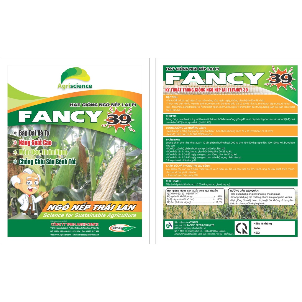 Hạt giống Ngô Nếp Thái Lan - Fancy 39
