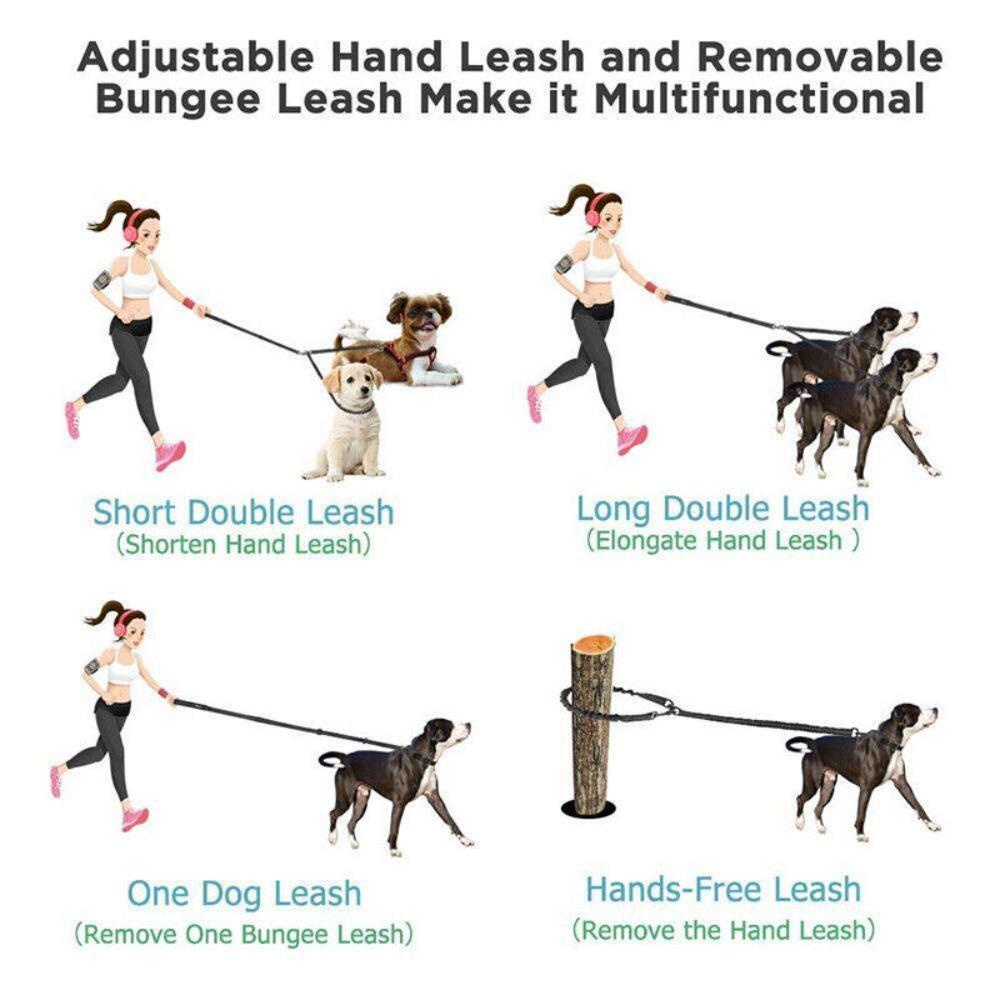 Dây Dắt Thú Cưng Đi Dạo Tiện Lợi