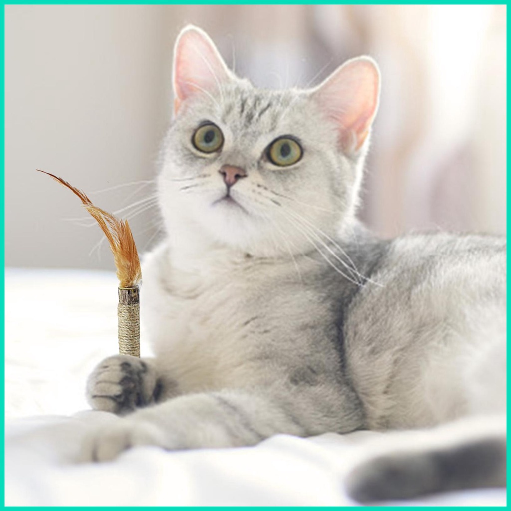 Đồ Chơi Lông Vũ Mài Răng Dành Cho Mèo Cưng