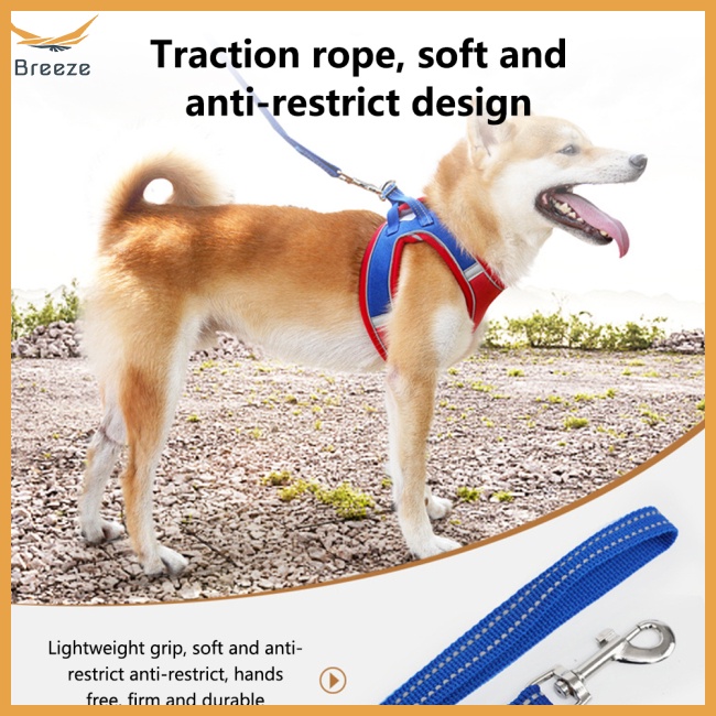 Bộ Dây Dắt Chó Mèo Chống Thoát Hiểm Màu Sắc Tương Phản