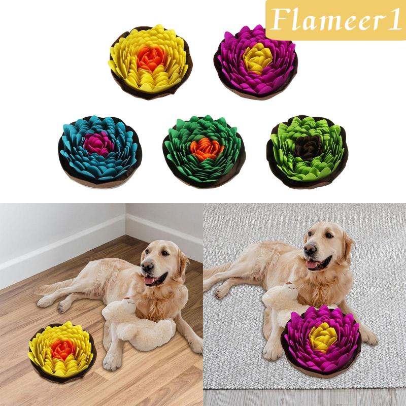 Thảm Đồ Chơi Tương Tác Với Thú Cưng Fireameer1