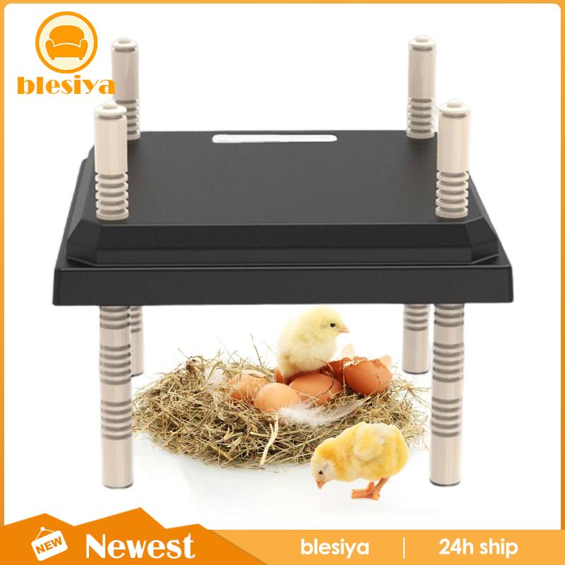 [Blesiya] Đĩa Sưởi Ấm Chiều Cao Có Thể Điều Chỉnh Chiều Cao Cho Gà Con