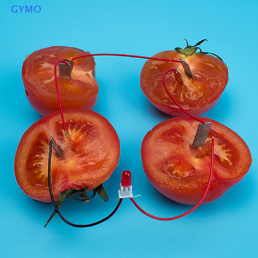 [cxGYMO] 1 Set Children Bio Energy Science Kit Potato Fruit Supply Electricity Experiment  HDY