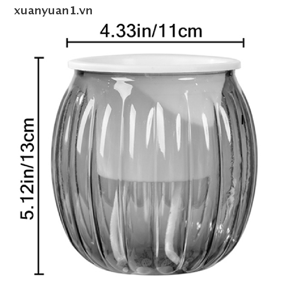 1 Chậu Nhựa Trồng Cây Tự Tưới Hình Quả Bí Ngô Mini