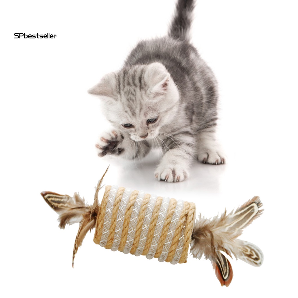 Đồ Chơi Lông Vũ Tự Nhiên Có Thể Tái Sử Dụng Cho Mèo Cưng