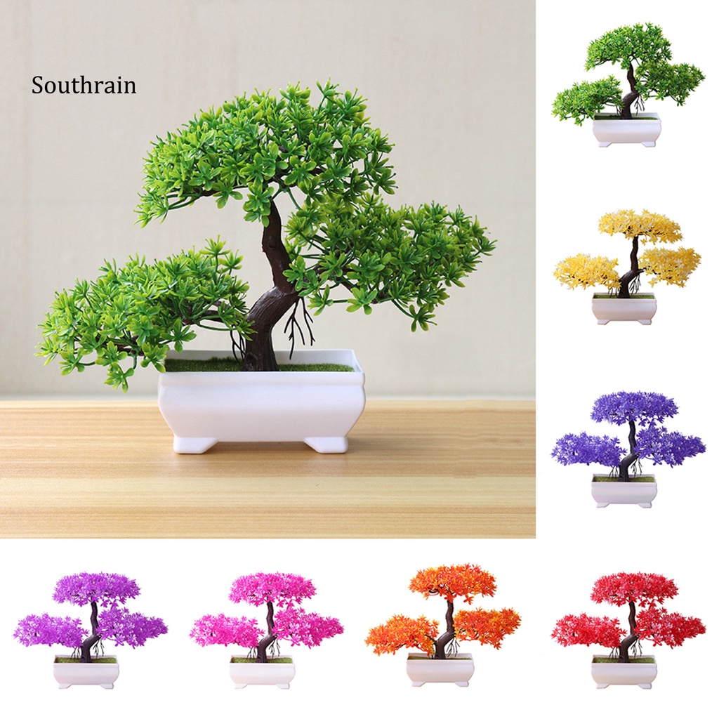 Khuôn Trồng Cây Mini Trọng Lượng Nhẹ Sống Động