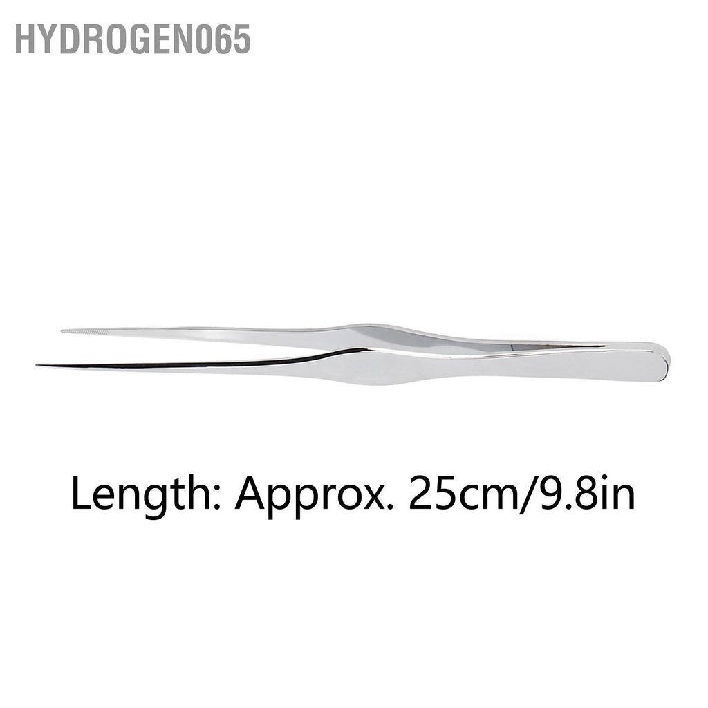 Hydrogen065 Bể Cá Nhíp Dài Tay Cầm Thẳng Thép Không Gỉ Đa Năng Cho Ăn Lưỡi Thực Vật Bò Sát