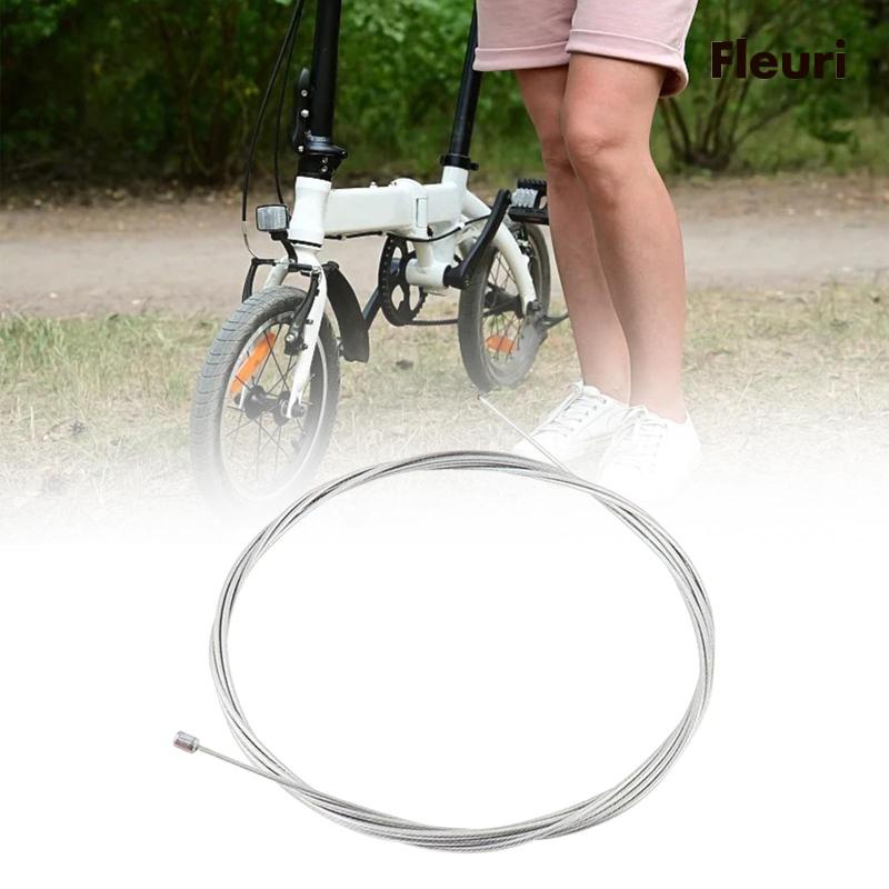 Dây Cáp Phía Sau Xe Đạp Gấp Gọn Tiện Dụng