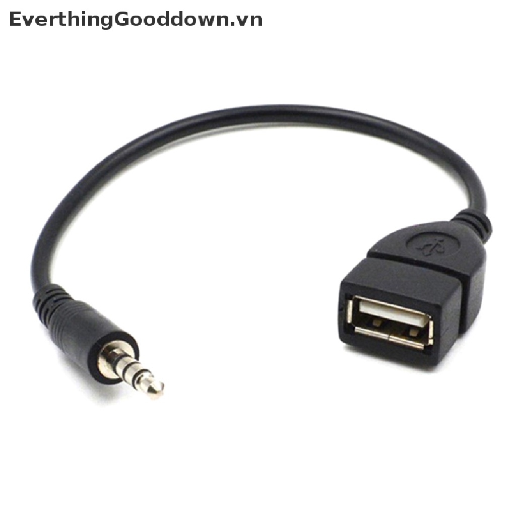 Everthingoodingdown Máy Nghe Nhạc MP3 Jack Cắm 3.5Mm Male AUX Sang USB 2.0 Female vn