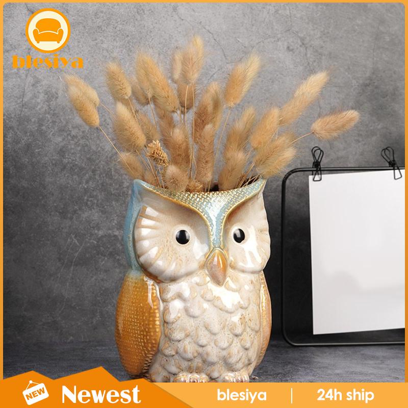 Chậu Hoa Hình Chim Cú Hoạt Hình Dùng Trang Trí Trong Nhà