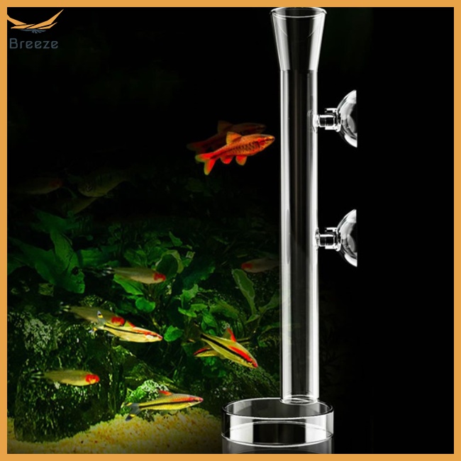 Hộp Đựng Thức Ăn Cho Cá Bằng Thủy Tinh Trong Suốt Kèm Hộp Đựng Tiện Lợi