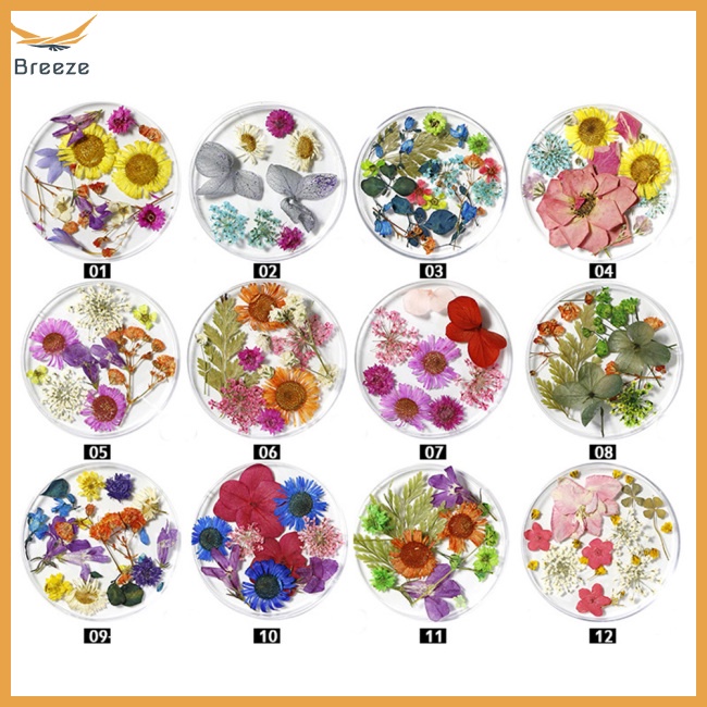 Hoa Khô Trang Trí Móng Tay Nghệ Thuật