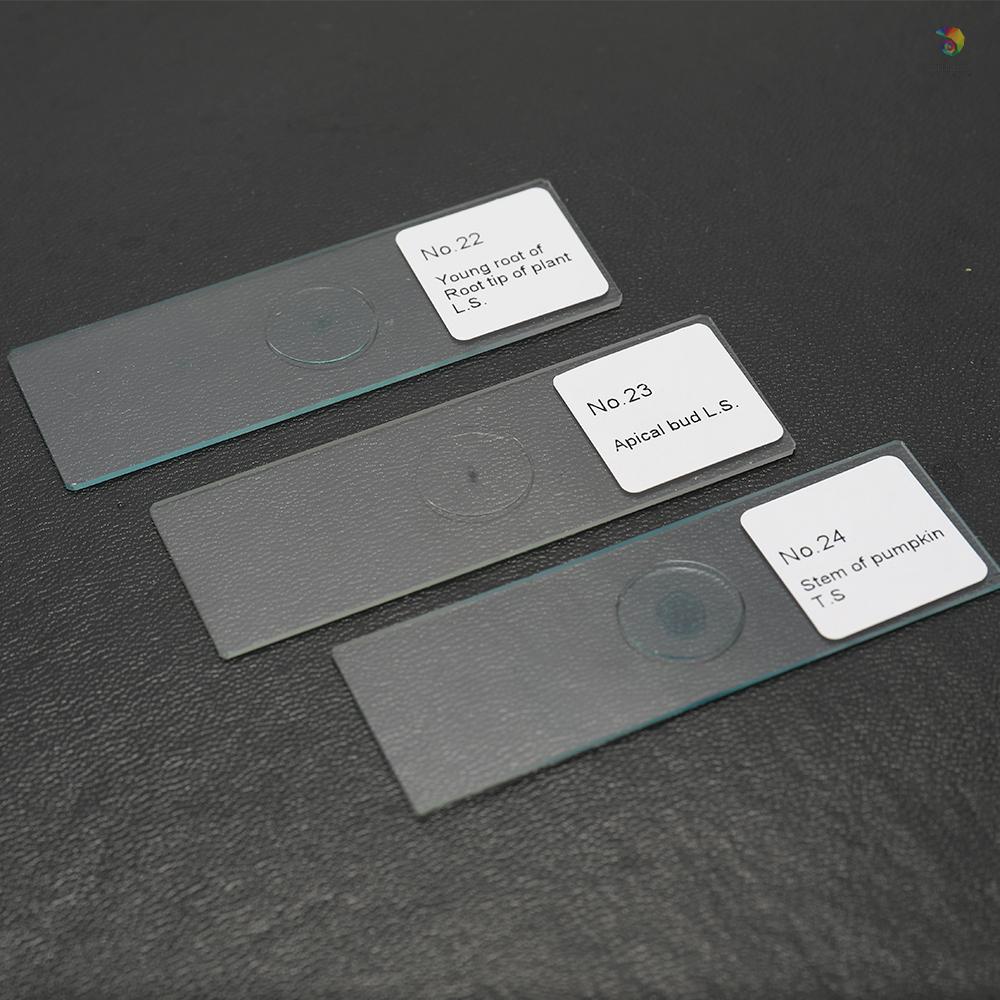 Bộ 25 Mẫu Kính Hiển Vi Động Vật / Cây Trồng Cơ Bản Chuẩn Bị Côn Trùng Nhỏ Gọn Bảo Vệ Chống Trượt