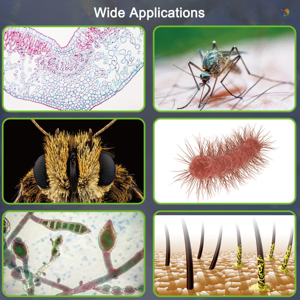 Kính Hiển Vi Kỹ Thuật Số 3.0Inch IPS Hỗ Trợ Màn Hình 800X Độ Phân Giải 10MP