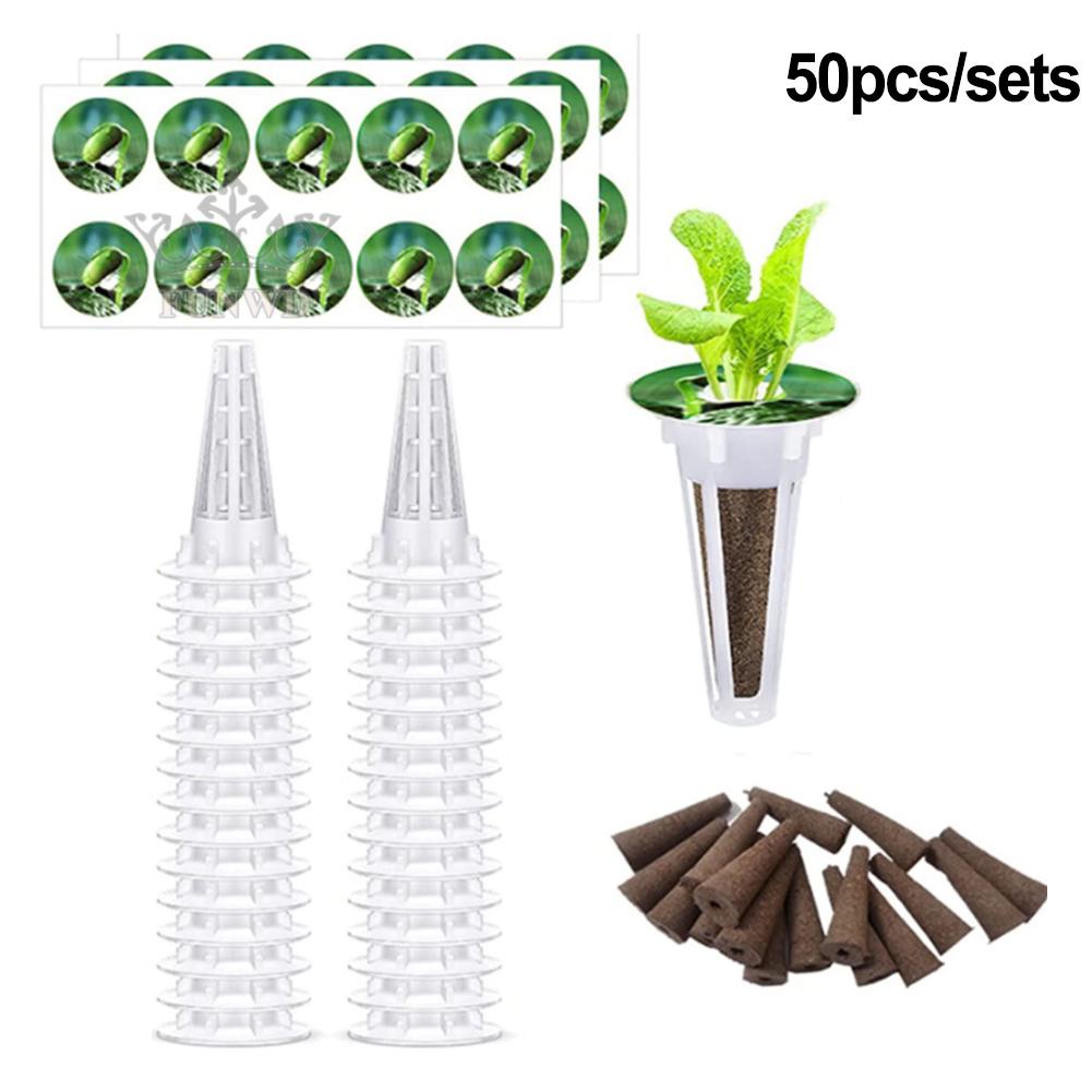 Bộ 50 Miếng Dán Bọt Biển Không Cần Đất Trồng Cây
