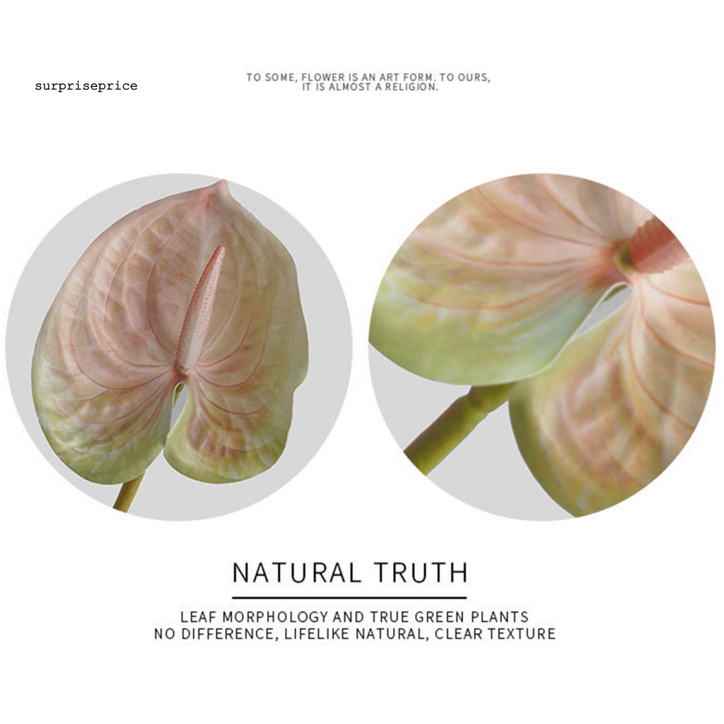 Spa 1 Nhánh Hoa Tươi Giả Nghệ Thuật In 3D Sống Động Thanh Lịch Làm Đạo Cụ Chụp Ảnh