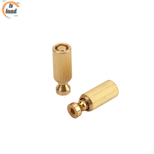 Bộ 2 Đinh Tán Tremolo Có Thể Điều Chỉnh Cho Đàn Guitar Điện