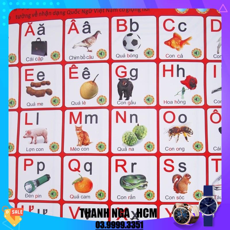 Bảng Chữ Cái Tiếng Việt Biết Nói 2 Mặt 1019