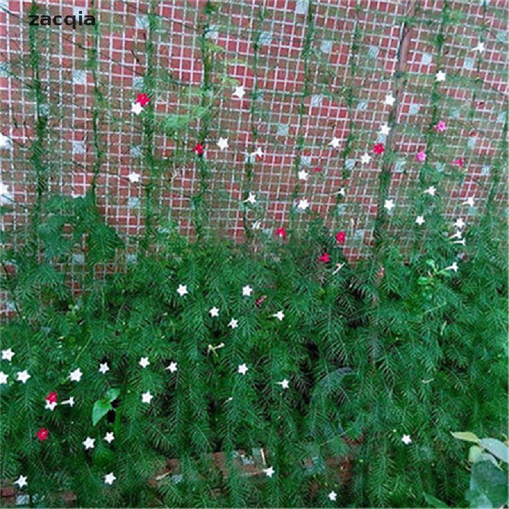 Lưới Nylon Màu Xanh Lá Cây Hỗ Trợ Trồng Cây Dây Leo