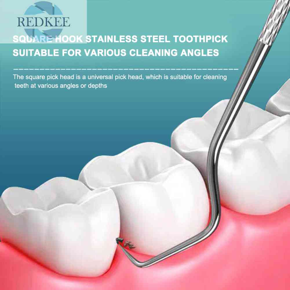 Tăm Xỉa Răng Trái Cây Bằng Thép Không Gỉ Tiện Dụng Khi Đi