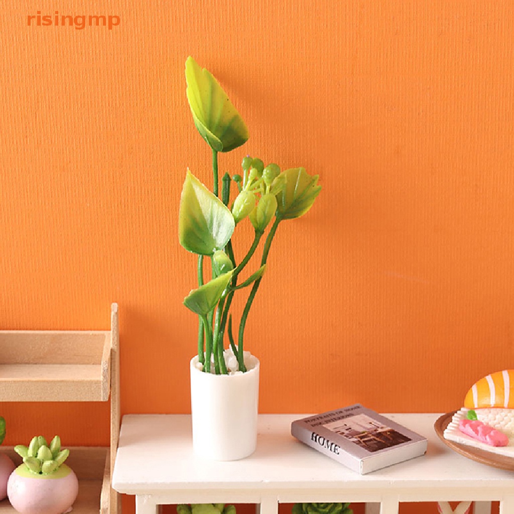 Mô Hình Chậu Hoa Trang Trí Nhà Búp Bê Tỉ Lệ 1: 12