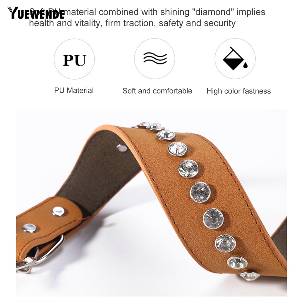 Vòng Đeo Cổ Cho Thú Cưng Khi Đi Du Lịch