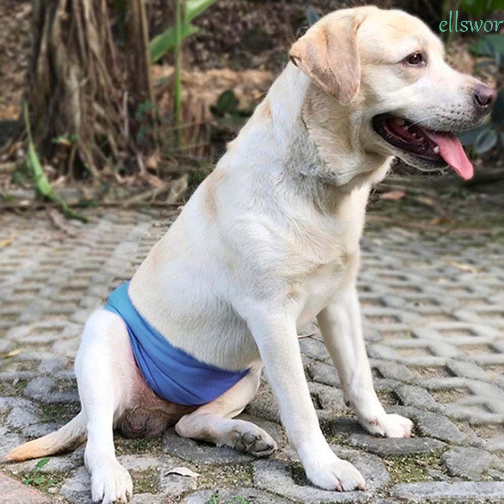 Elsworth Quần Lót Vệ Sinh Bền Bỉ Giặt Được Cho Cún Cưng