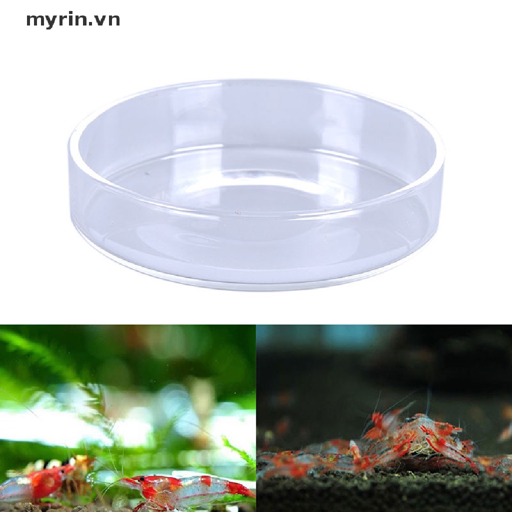 Khay Tròn Bằng Thủy Tinh Trong Suốt Đựng Thức Ăn Cho Tôm