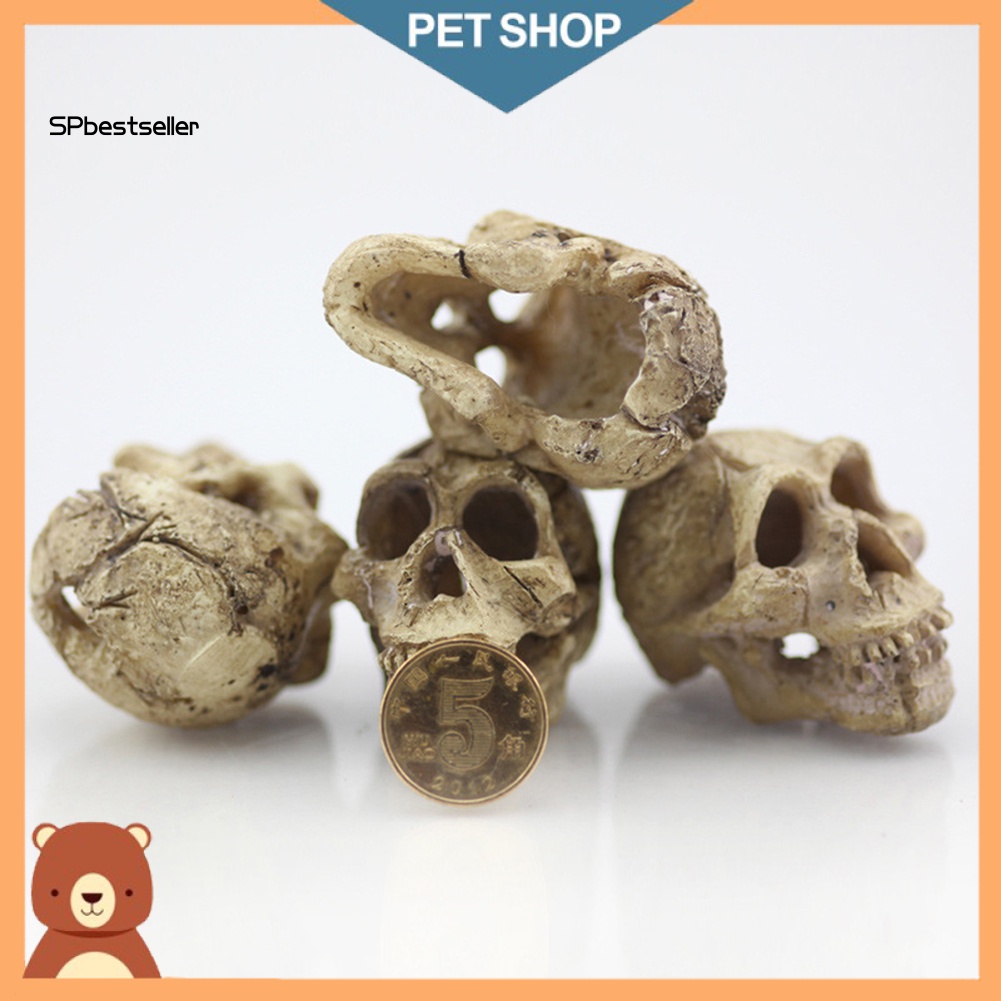 Bộ Đầu Lâu Nhựa Dùng Trang Trí Bể Cá