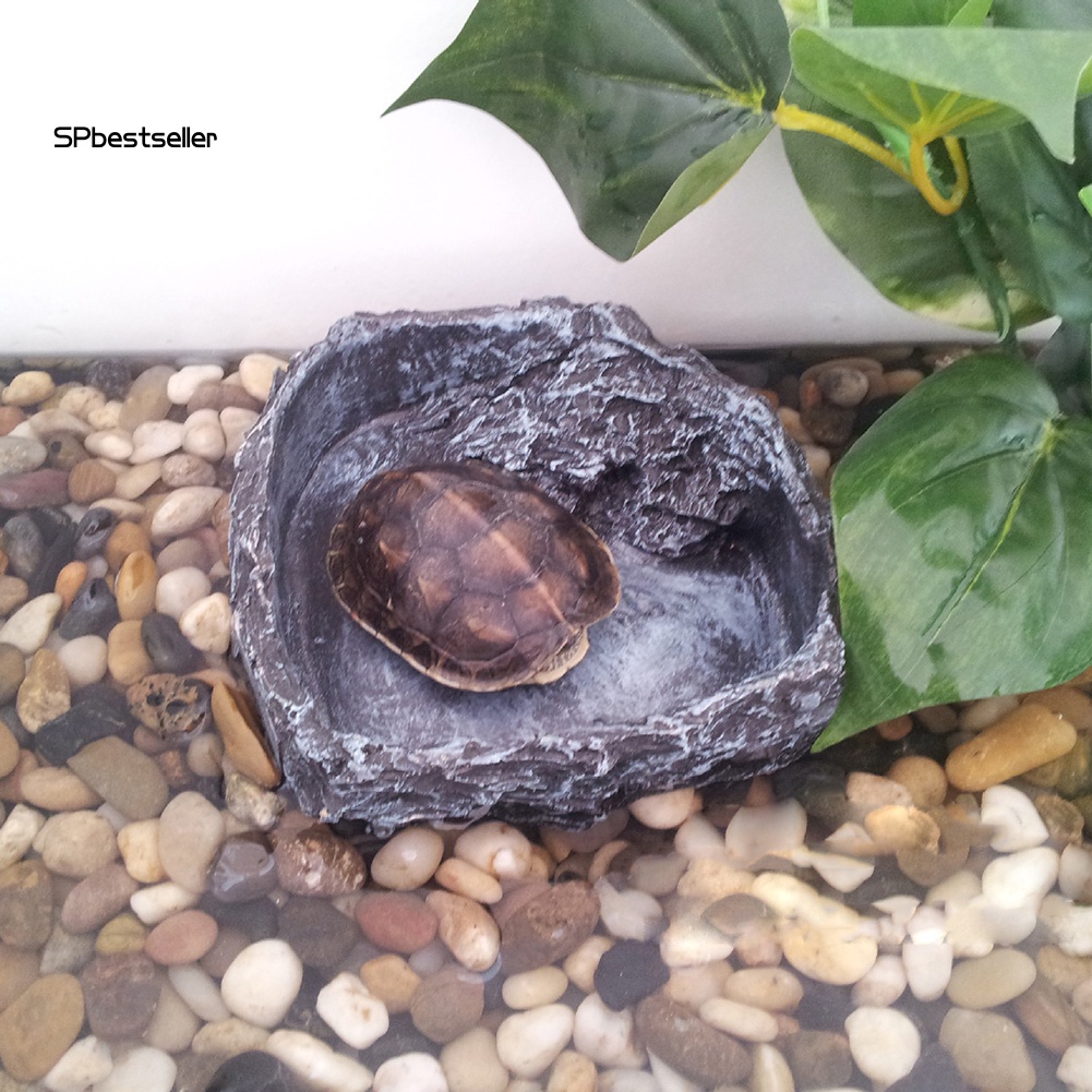 Bệ Nổi Trang Trí Bể Nuôi Rùa / Bò Sát