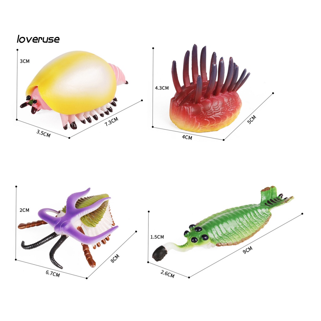 / Lo / Realistic Đồ Chơi Đồ trang trí Trilobite Bằng Nhựa Trong Suốt Cho Bé